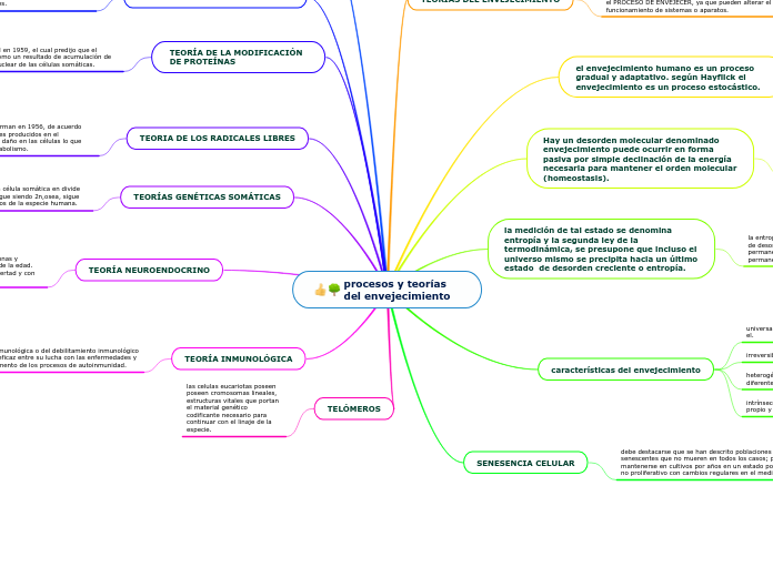 Procesos Y Teorías Del Envejecimiento Mind Map 9558